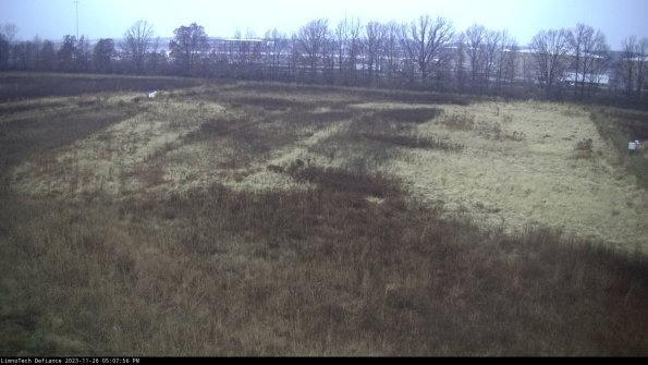 Cell 3_23-11-26_17-07-56-78