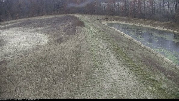 Cell 4 to Basin_23-11-26_09-53-31-80