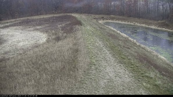 Cell 4 to Basin_23-11-26_10-27-00-78