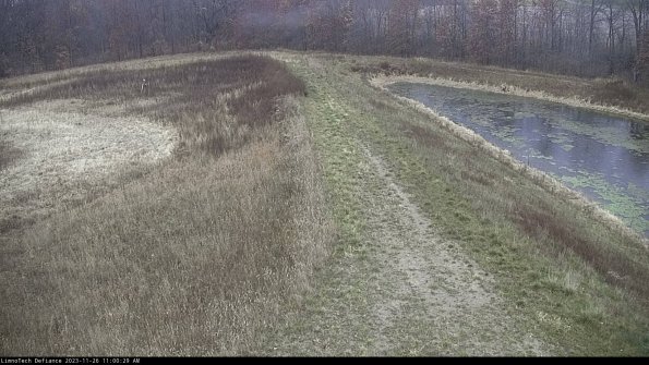 Cell 4 to Basin_23-11-26_11-00-29-79