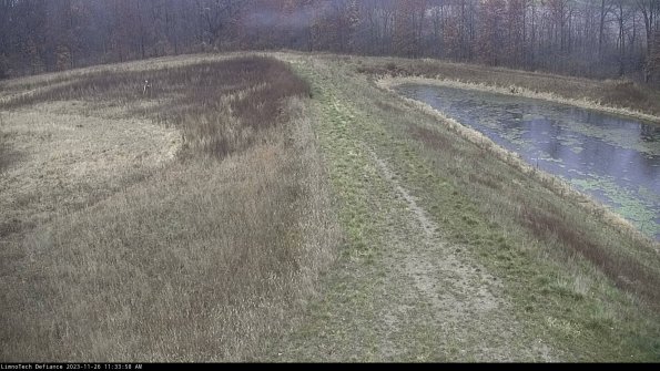 Cell 4 to Basin_23-11-26_11-33-58-80