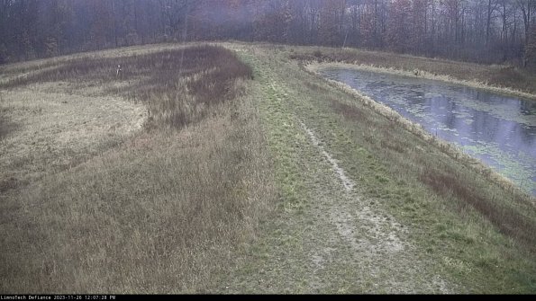 Cell 4 to Basin_23-11-26_12-07-28-82