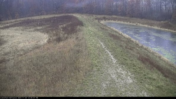 Cell 4 to Basin_23-11-26_12-40-57-79