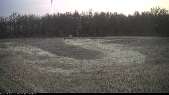 Cell 4_23-11-26_07-39-06-79