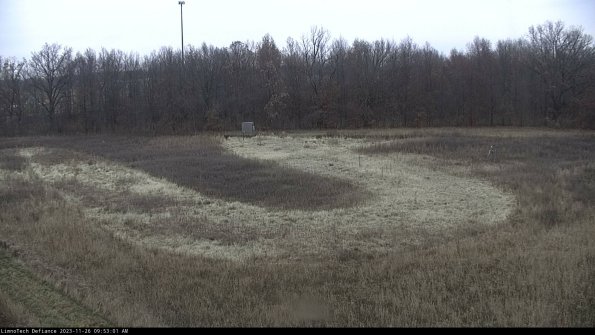 Cell 4_23-11-26_09-53-01-80