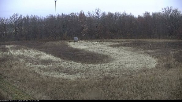 Cell 4_23-11-26_10-26-30-78