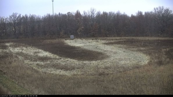 Cell 4_23-11-26_10-59-59-79