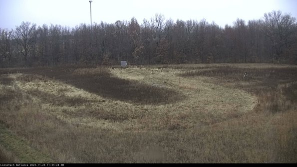 Cell 4_23-11-26_11-33-28-80