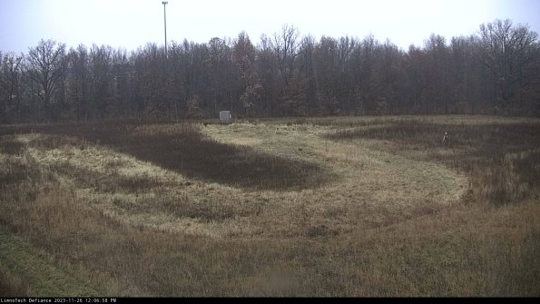 Cell 4_23-11-26_12-06-58-79