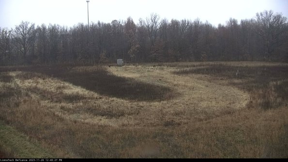 Cell 4_23-11-26_12-40-27-80