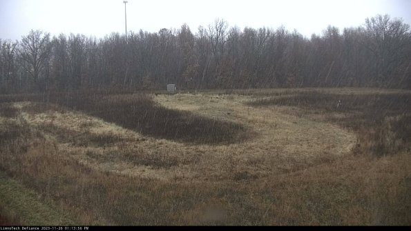 Cell 4_23-11-26_13-13-56-78