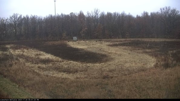 Cell 4_23-11-26_16-01-25-78