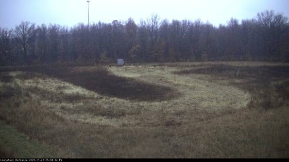 Cell 4_23-11-26_17-08-24-81