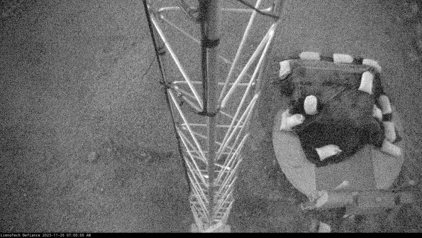 Hatch_23-11-26_07-00-00-74