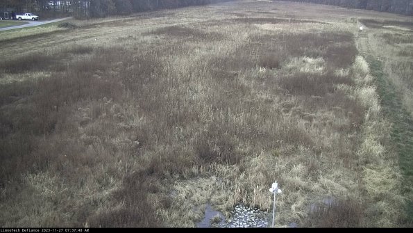 Cell 1_23-11-27_07-37-48-76