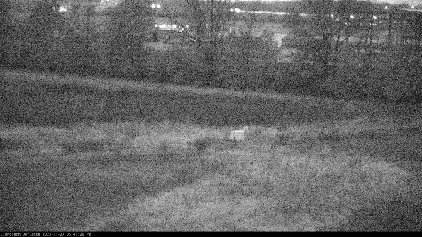 Cell 2 to 3_23-11-27_17-41-20-78