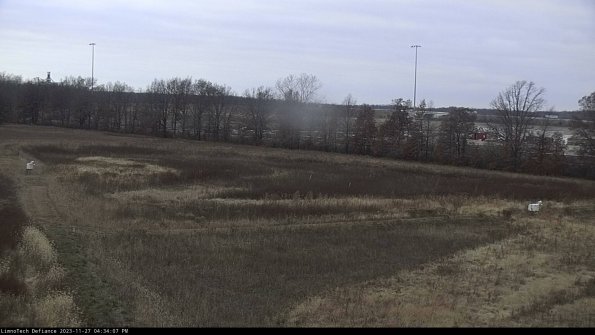 Cell 2_23-11-27_16-34-07-81