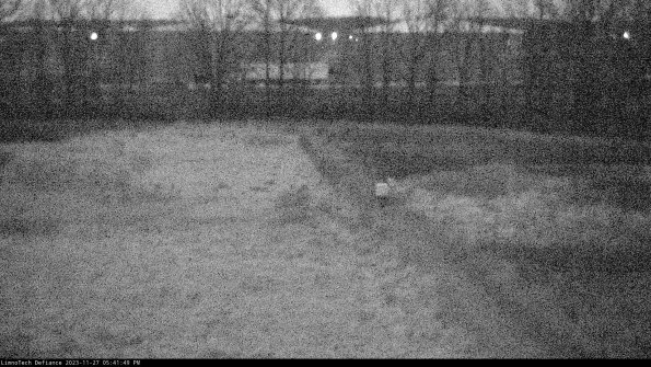 Cell 3 to 4_23-11-27_17-41-49-77