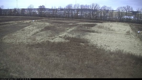 Cell 3_23-11-27_16-34-35-77