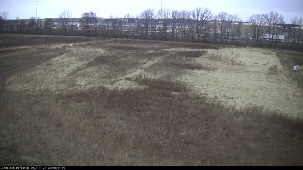 Cell 3_23-11-27_17-08-05-05