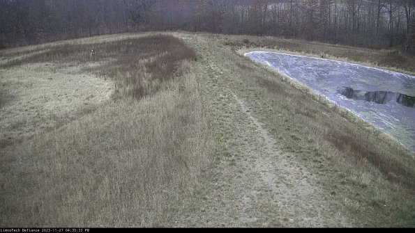 Cell 4 to Basin_23-11-27_16-35-33-79