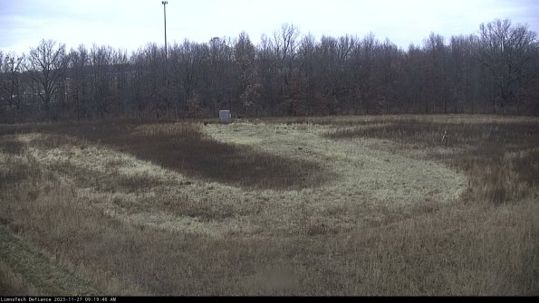 Cell 4_23-11-27_09-19-40-78