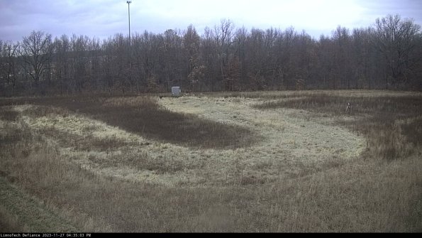 Cell 4_23-11-27_16-35-03-76