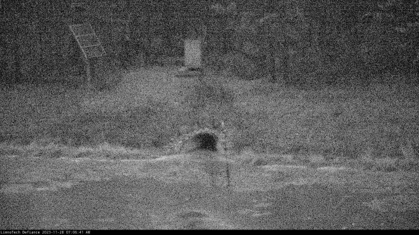 Basin Inflow_23-11-28_07-06-41-77