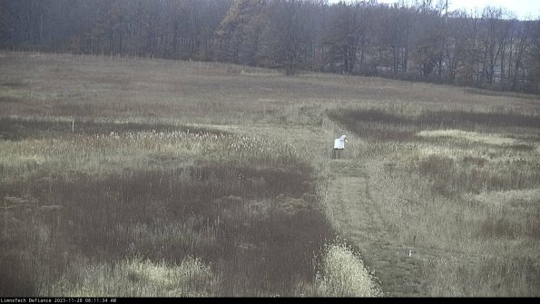 Cell 1 to 2_23-11-28_08-11-34-80