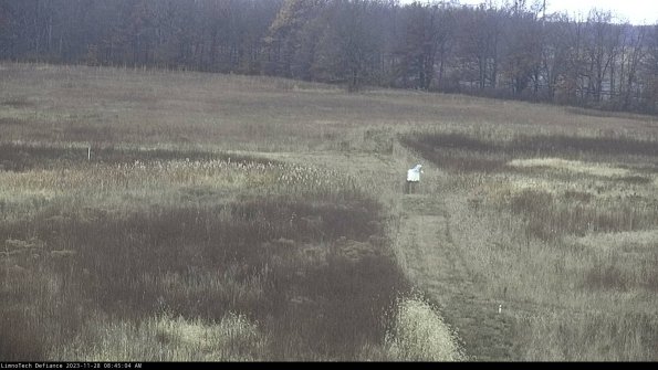 Cell 1 to 2_23-11-28_08-45-04-77