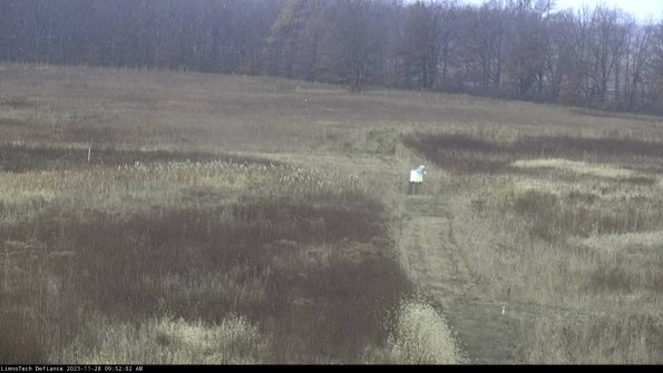 Cell 1 to 2_23-11-28_09-52-02-79