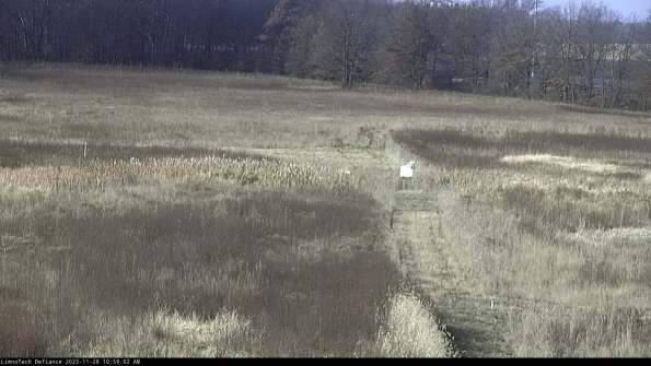 Cell 1 to 2_23-11-28_10-59-02-78