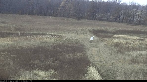 Cell 1 to 2_23-11-28_12-39-30-78