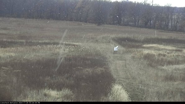 Cell 1 to 2_23-11-28_15-26-59-81