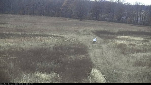 Cell 1 to 2_23-11-28_16-33-57-80