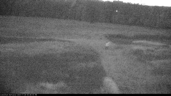 Cell 1 to 2_23-11-28_17-40-55-78