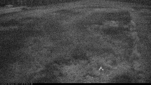 Cell 1_23-11-28_07-04-21-76