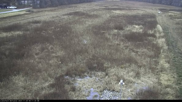 Cell 1_23-11-28_08-11-20-78