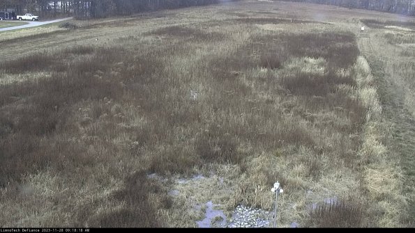 Cell 1_23-11-28_09-18-18-77