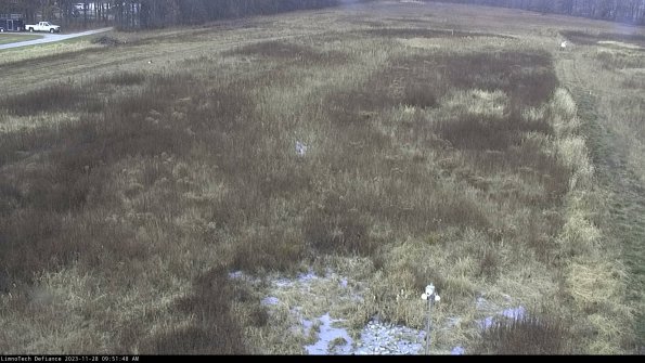 Cell 1_23-11-28_09-51-48-78