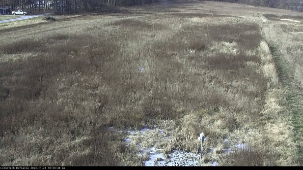 Cell 1_23-11-28_10-58-48-77