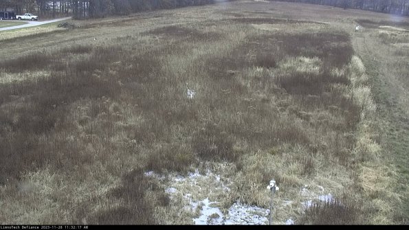 Cell 1_23-11-28_11-32-17-78