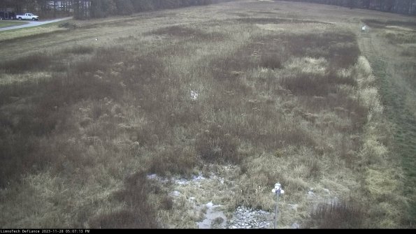 Cell 1_23-11-28_17-07-13-79