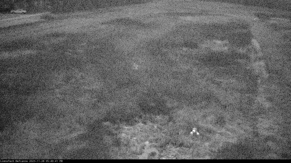 Cell 1_23-11-28_17-40-41-77