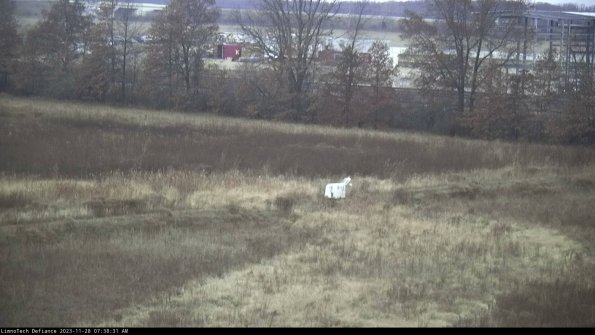 Cell 2 to 3_23-11-28_07-38-31-88