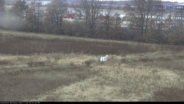 Cell 2 to 3_23-11-28_15-27-25-97