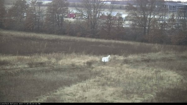 Cell 2 to 3_23-11-28_17-07-53-87