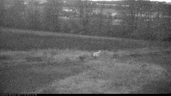 Cell 2 to 3_23-11-28_17-41-22-78