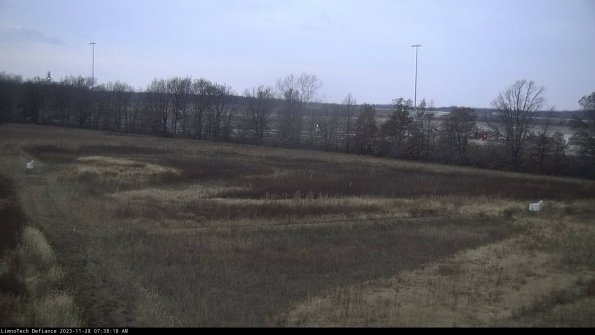 Cell 2_23-11-28_07-38-18-80