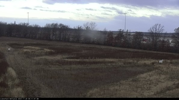 Cell 2_23-11-28_08-11-47-81